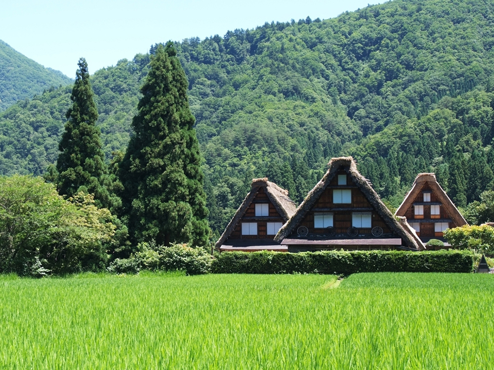 Gifu Classic Trip